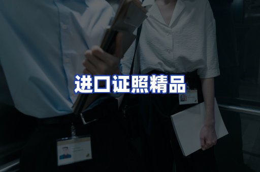 进口证件页面制证